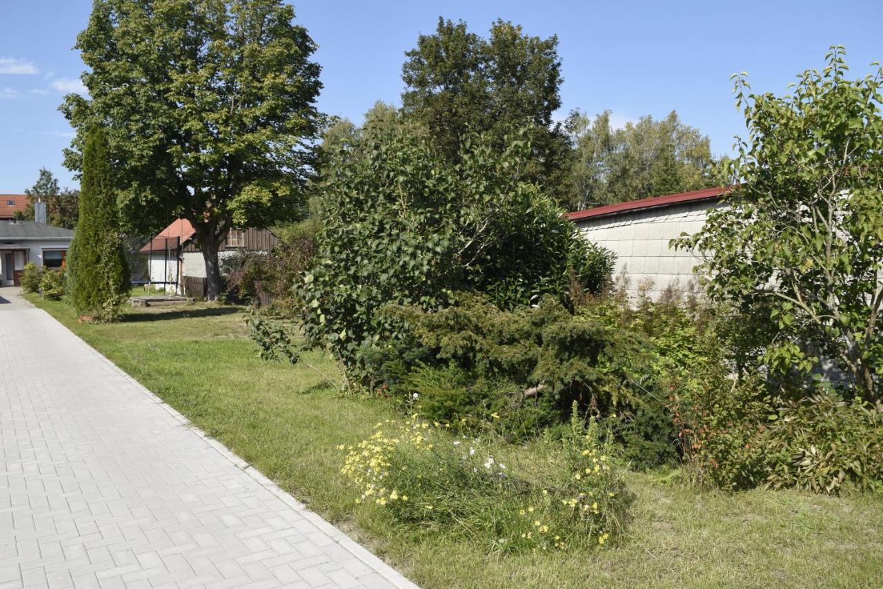 Waldnest * Tanne